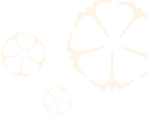 flower pattern